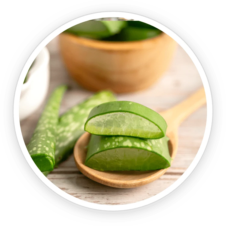 Kerassentials Ingredient Aloe Vera